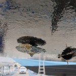 Opferanode Motor - 1Jahr alt