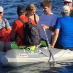 Auf dem Weg zum Salzsee "MIR" in der Telascica