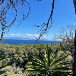 Spaziergang Tremiti-Inseln 1