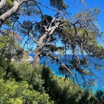 Spaziergang Tremiti-Inseln 2