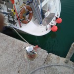 Die LaBonita schwimmt wieder