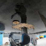 Algenbewuchs an der Saildrivedichtung und der Opferanode