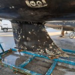 Das Unterwasserschiff wird angeschliffen