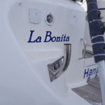 Veränderte Steckverbindung der Gangway